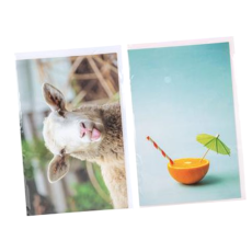 Blank Greeting Card & Envelope, for any occassion